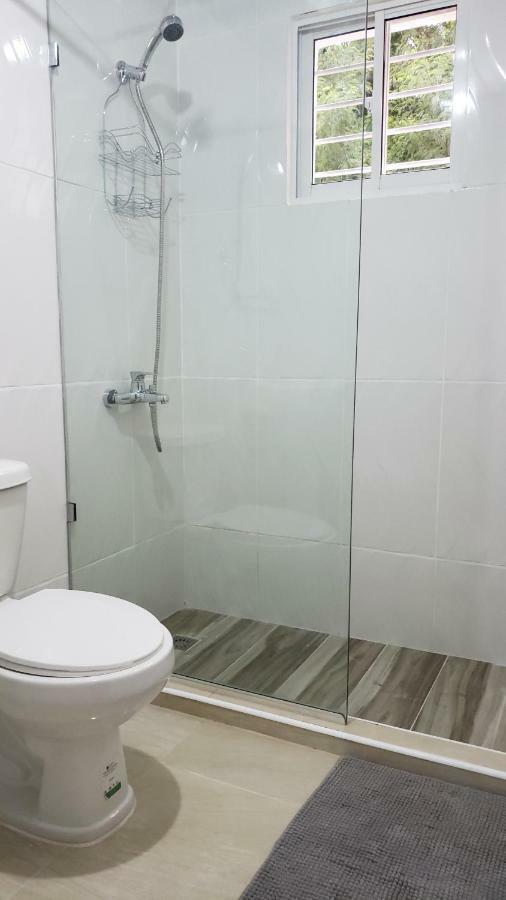 Premium Apartment Santiago De Los Caballeros Kültér fotó